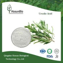 Rosemary P.E.25%-98% Ursolic Natural Rosemary Extract
