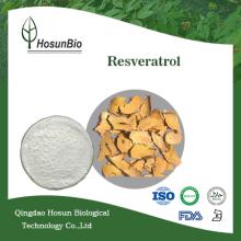 100% natural Giant Knotweed extract 1%-98%  resveratrol   bulk   powder 