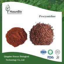 Organic Grape Seed Extract Procyanidins| Procyanidine 25% Proanthocyanidins Powder