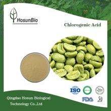 High quality Green Coffee Bean Extract Chlorogenic Acid 50%