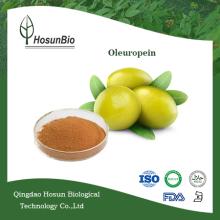 Olive Leaf Extract in bulk  Oleuropein   20 %~60%