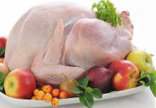 Halal Boneless Whole Frozen Chicken and Chicken Parts