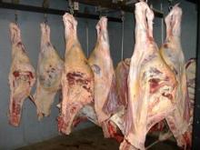 Halal Boneless Cow , Buffalo Meat ,
