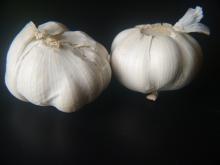 Factory supply high quality fresh natural garlic price for sale !
