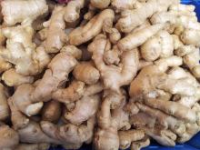 fresh ginger supplier provide bulk fresh ginger with competitive price