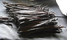 High quality vanilla beans , price vanilla beans , vanilla beans kg with reasonable price and fast d