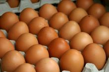 Fresh white shell chicken table eggs