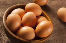 sell Fertile Hatching Chicken Egg | Fresh Chicken Egg | Ostrich Egg..