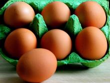 sell /buy Farm Fresh Brown Table Chicken Eggs
