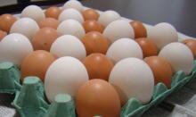 buy/selBest Quality Organic Fresh Chicken Table Eggs & Fertilized Hatching Eggs At Affordable Prices