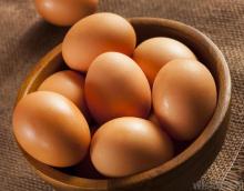 sell Fresh chicken eggs in bulk Broiler Hatching Eggs,Cobb 500/ Ross 308 Grade A