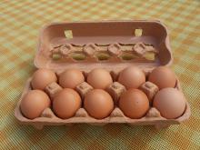sell Fertile Hatching Chicken Eggs,,