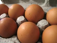 Fresh Brown Table Eggs Chicken Eggs In Bulk...