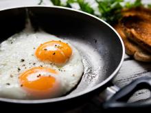 Price Fresh Chicken Eggs, Fertilized Chicken Eggs