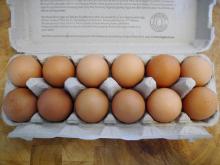 we sell Fresh Chicken Table Eggs & Fertilized Hatching Eggs at affordable prices