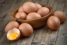 sell Fresh Chicken Table Eggs , Chicken Eggs price , yellow yolks white chicken eggs price in bulk