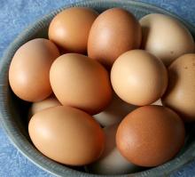 ...Fresh Brown And White Shell Chicken Eggs From South Africa