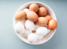 ,,...,Chicken Table Eggs & Fertilized Hatching Eggs Cobb 500 and Ross 308 Chicken Hatching Eggs