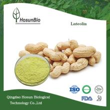 Natural Herbal Extract 98%  Luteolin 