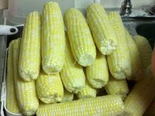 Hot sale Tasty Canned Sweet Corn wholesale