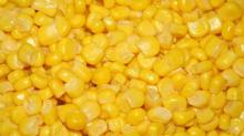 Canned Sweet Corn Best Price