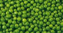 Competitiv E Price Quality Canned Green Peas
