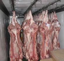 Organic Lamb from Kazakhstan