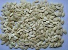 Shine Skin Pumpkin Seeds