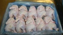 Halal Brazilan Frozen Whole Chicken / Chicken Feet / Wings and other Parts