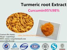  Turmeric   root  Extract Curcumin