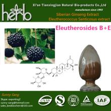 Siberian Ginseng P.E.Eleutherosides