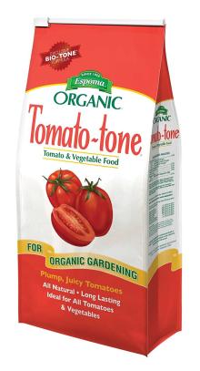 fresh Egyptian tomato high quality (A)