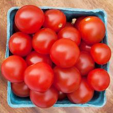 Korean Fresh Cherry Tomato