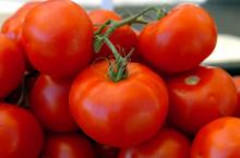 Tomato is on sale ,bulk t-omato paste with brix 28-30%