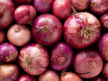 white onion/yellow onion/fresh red onion