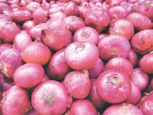 organic lowest natural price fresh organic red onion