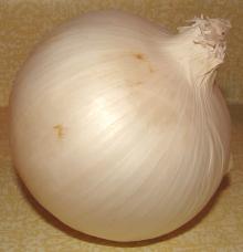 Golden  Onion   Red   Onion 