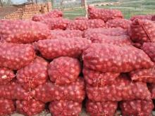 Fresh -Onion Red Onion from- Pakistan ( Naqshbandi Enterprises )