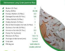Jasmine Rice