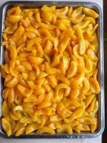 Fresh canned peach, canned yellow peach, canned fruit