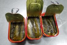 Canned Sardines from our Origin