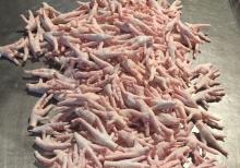 Frozen chicken Paws China CNCA approved plant 13-07