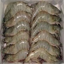 Frozen White Shrimp/Vannamei White Shrimps/Buy Wild Caught Gulf Shrimp/ Fish Maw