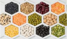 Cereals, pulses and oilseed