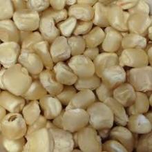 White Corn