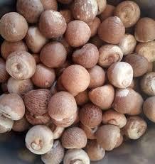 Whole and Split Betel Nut Grade A