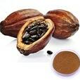  Alkaline  Cocoa Powder