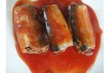  canned  sardine in  tomato   sauc e