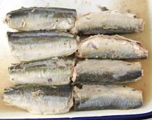 canned mackeral fish in brine