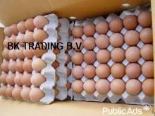 BROWN Table Eggs, Quail  Eggs,Ostrich Eggs,